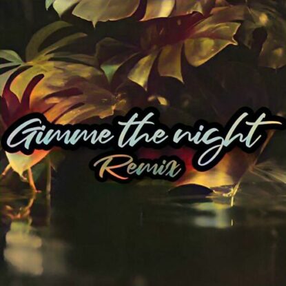 Dj Fopop Gimme the night cover